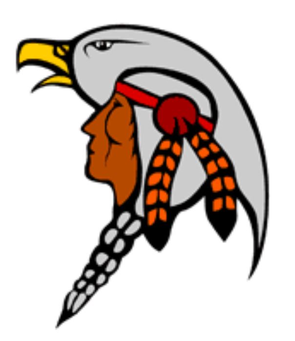 north-spirit-lake-first-nation-logo